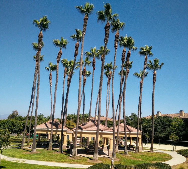Santa Ynez Park (Irvine,&nbspCA)
